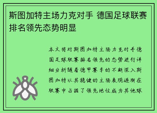 斯图加特主场力克对手 德国足球联赛排名领先态势明显